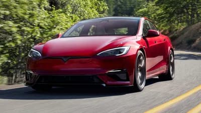 2019 Tesla Model S