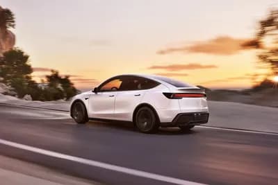 2025 Tesla Model Y